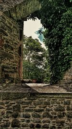 View of trees and plants