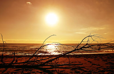 Silhouette of beach against sky during sunset