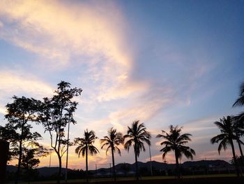 Silhouette palm trees against sky during sunset