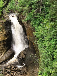View of waterfall in forest
