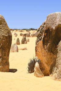 Rock formations in a desert