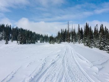 Snow covered land and trees against sky