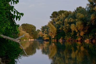 Scenic view of lake by trees against sky