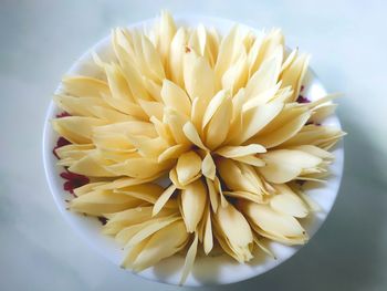 High angle view of white flower in bowl