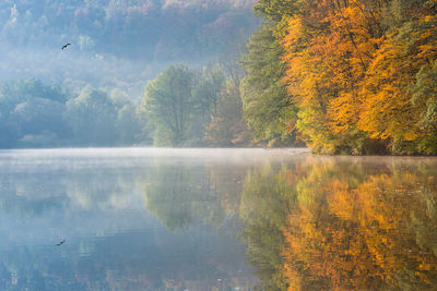 Autumn morning