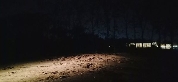 Illuminated road amidst trees at night