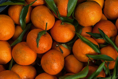 Full frame shot of fruits for sale at market