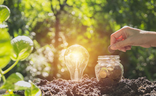 Cropped hand putting coins in jar by light bulb on mud against trees