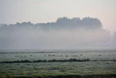 Scenic view of sea against sky during foggy weather