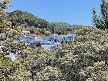 Houses and trees against clear blue sky