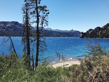 Scenic view of lake against clear blue sky