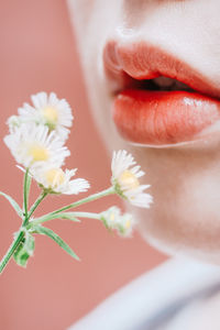 Close-up of hand holding flower