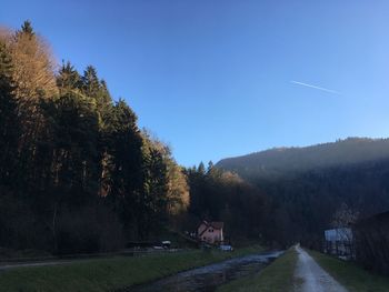 Road amidst trees against clear blue sky