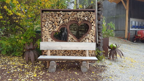 Cat on seat against trees