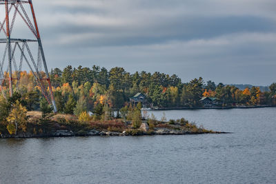 View of trees by calm lake