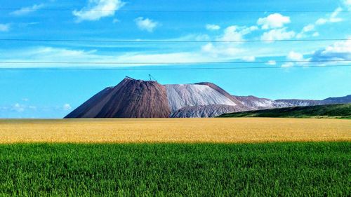 Scenic view of agricultural field against sky