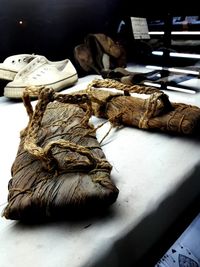 Close-up of lizard on table