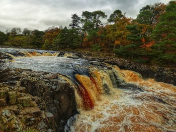 Scenic view of waterfall in forest against sky