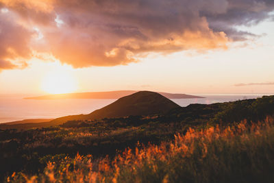 Orange sunset in field overlooking ocean