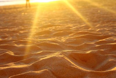 Scenic view of sandy beach