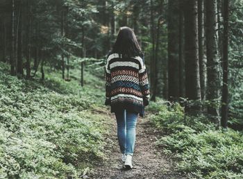 Rear view of woman walking on pathway amidst trees in forest during winter