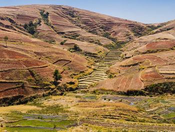 Scenic view of landscape