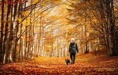 Full length of man walking with french bulldog dog on autumn leaves in forest