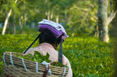 Midsection of woman with basket on tree