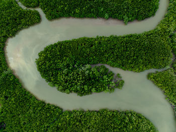 High angle view of man standing on field