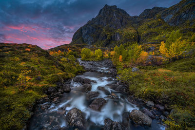 Beautiful waterfalls in autumn colors located in lofoten, norway