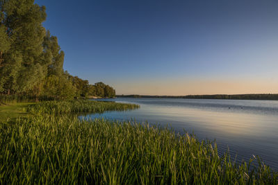 Scenic view of lake against clear sky