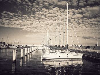Sailboats moored in harbor against sky