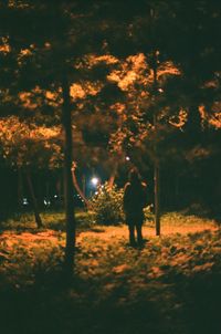 Silhouette of man walking in forest at night