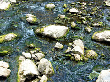 High angle view of stones in lake