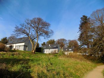 Trees and houses on field against sky