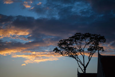 Silhouette of trees at sunset
