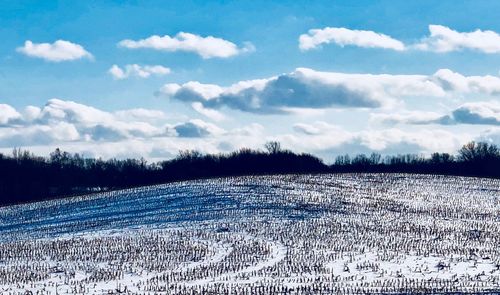 Scenic view of snow field against sky