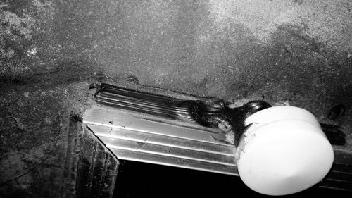 High angle view of cat on floor