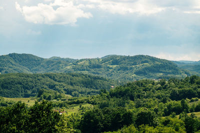 Scenic view of forest against sky