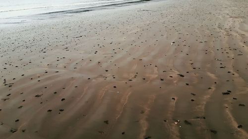 High angle view of beach