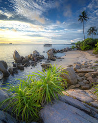 Scenic view of beach against sky