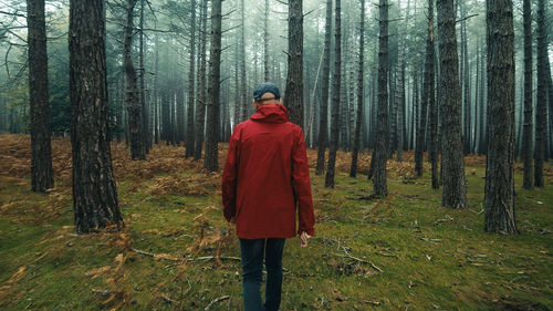 Old man with red jacket explore the misty forest in autumn season