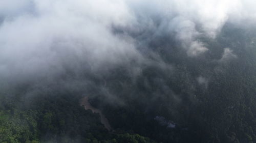 environment