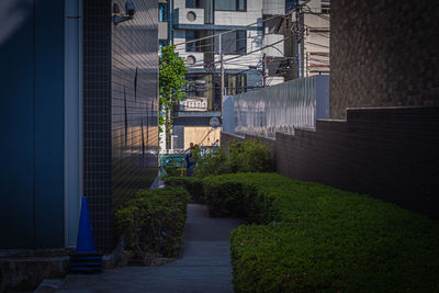 Footpath by buildings in city