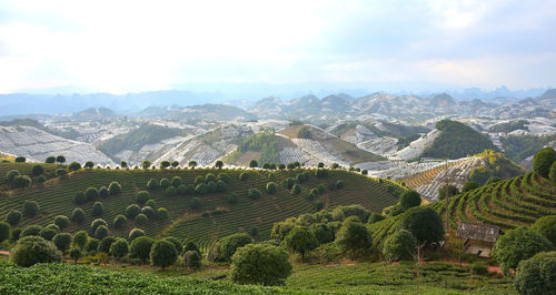 Aerial view of agricultural field against sky