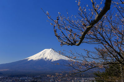 Scenic view of snowcapped mountains against clear blue sky