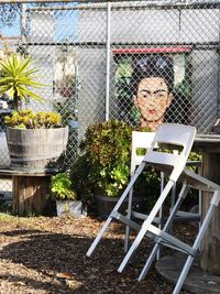 View of an empty chairs and table in greenhouse