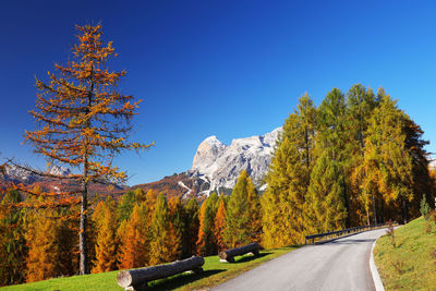 Road amidst trees against clear blue sky during autumn