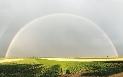 Scenic view of field against rainbow in sky