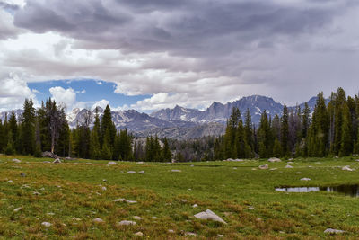 Scenic view of field against sky